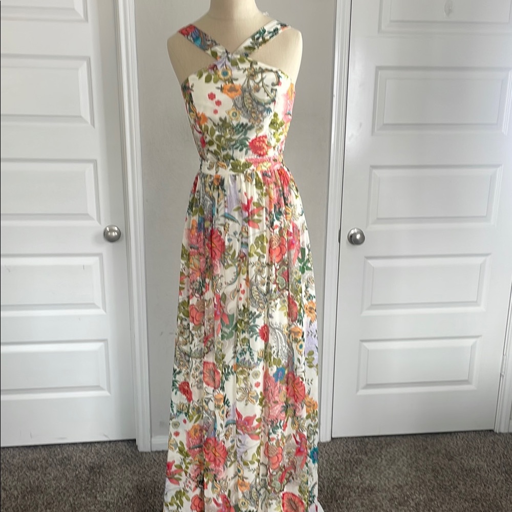 Lulus Floral Maxi Dress